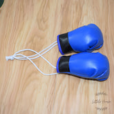 Boxing Gloves D067 | Pack of 1 Pair | Blue